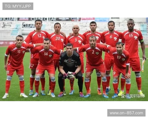 体育版权进出口结构稳定，但国内赛事出海仍需突破